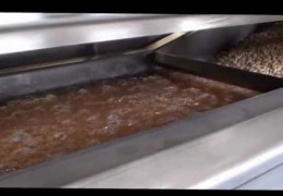 Embedded thumbnail for Video salting and seasoning line
